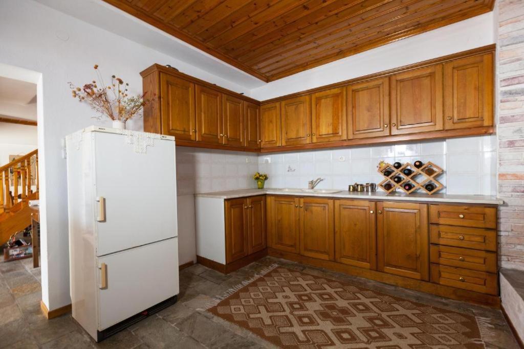 Eremia Rustic House - Entire Villa In Pelion Makrinitsa Exterior photo