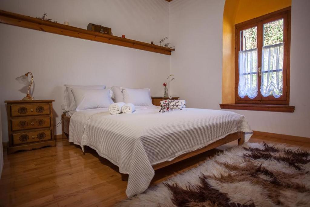 Eremia Rustic House - Entire Villa In Pelion Makrinitsa Exterior photo