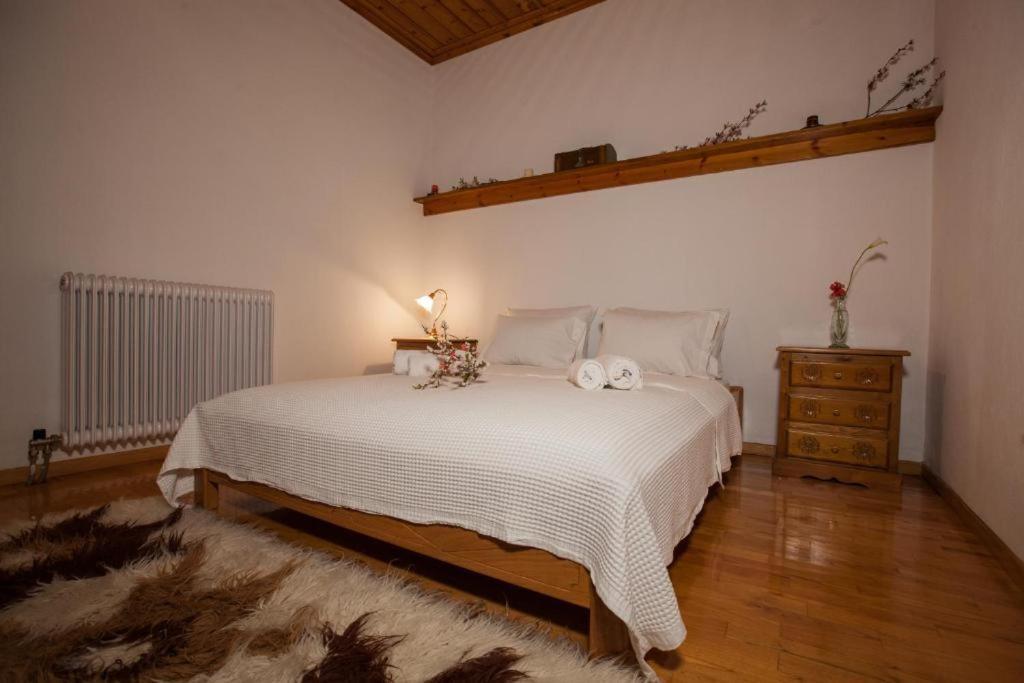 Eremia Rustic House - Entire Villa In Pelion Makrinitsa Exterior photo